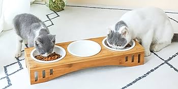 白亜器　お皿　猫5寸台皿 猫 新商品 の検索結果|食器通販の陶磁庵(1ページ目/標準)